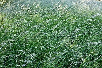 像素动作游戏《薄荷先生的复仇》10月23日发售